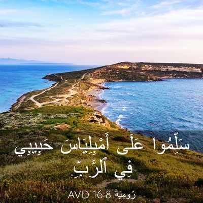 Picture 03 - رُومِيَةَ 16:8 AVD - سَلِّمُوا عَلَى - Bible Verse Picture