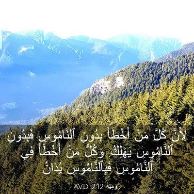 Picture 03 - رُومِيَةَ 2:12 AVD - لِأَنَّ كُلَّ مَنْ - Bible Verse Picture