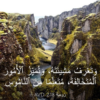 Picture 03 - رُومِيَةَ 2:18 AVD - وَتَعْرِفُ مَشِيئَتَهُ، - Bible Verse Picture