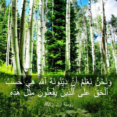 Picture 03 - رُومِيَةَ 2:2 AVD - وَنَحْنُ نَعْلَمُ أَنَّ - Bible Verse Picture
