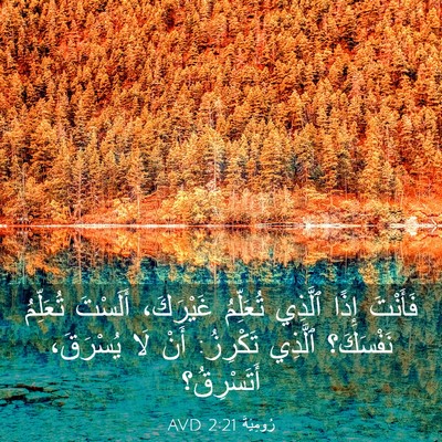Picture 03 - رُومِيَةَ 2:21 AVD - فَأَنْتَ إِذًا ٱلَّذِي - Bible Verse Picture