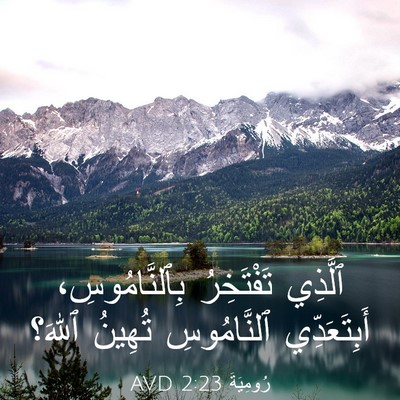 Picture 03 - رُومِيَةَ 2:23 AVD - ٱلَّذِي تَفْتَخِرُ - Bible Verse Picture