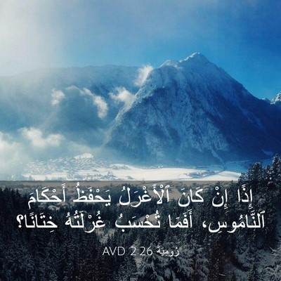 Picture 03 - رُومِيَةَ 2:26 AVD - إِذًا إِنْ كَانَ - Bible Verse Picture