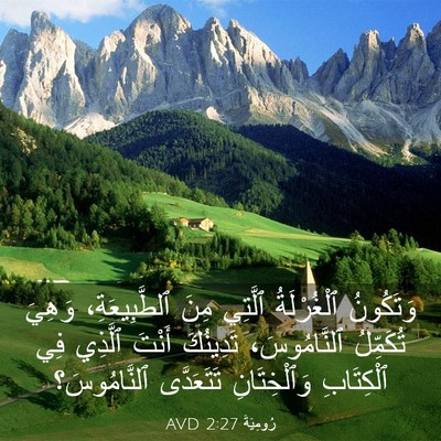 Picture 03 - رُومِيَةَ 2:27 AVD - وَتَكُونُ ٱلْغُرْلَةُ - Bible Verse Picture