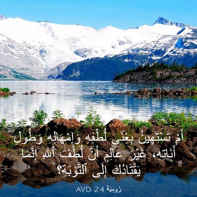 Picture 03 - رُومِيَةَ 2:4 AVD - أَمْ تَسْتَهِينُ بِغِنَى - Bible Verse Picture