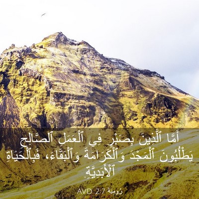 Picture 03 - رُومِيَةَ 2:7 AVD - أَمَّا ٱلَّذِينَ بِصَبْرٍ - Bible Verse Picture