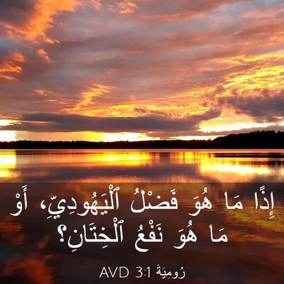Picture 03 - رُومِيَةَ 3:1 AVD - إِذًا مَا هُوَ فَضْلُ - Bible Verse Picture