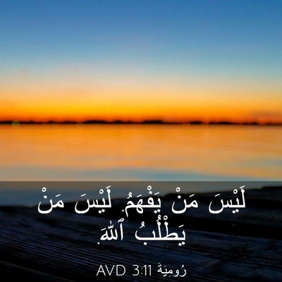 Picture 03 - رُومِيَةَ 3:11 AVD - لَيْسَ مَنْ يَفْهَمُ. - Bible Verse Picture