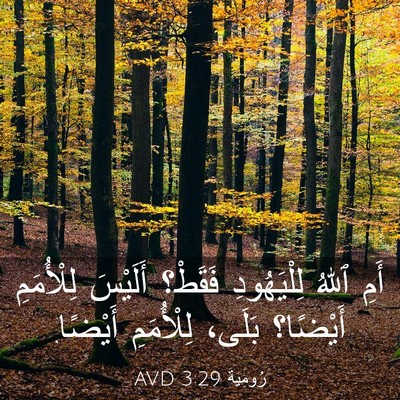 Picture 03 - رُومِيَةَ 3:29 AVD - أَمِ ٱللهُ لِلْيَهُودِ - Bible Verse Picture