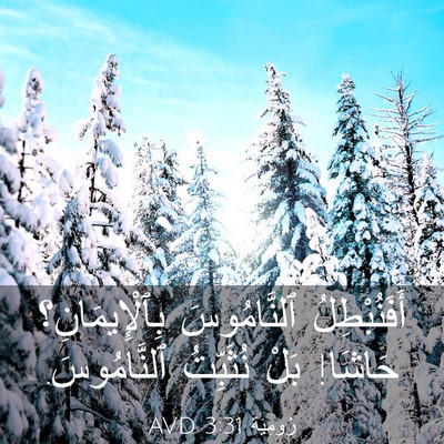 Picture 03 - رُومِيَةَ 3:31 AVD - أَفَنُبْطِلُ ٱلنَّامُوسَ - Bible Verse Picture