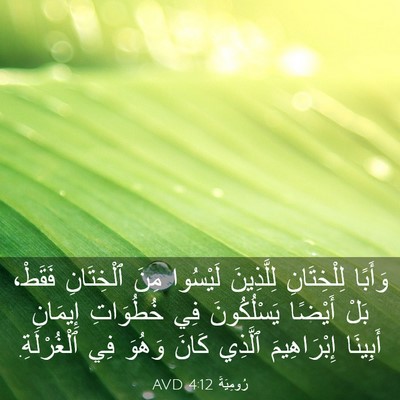Picture 03 - رُومِيَةَ 4:12 AVD - وَأَبًا لِلْخِتَانِ - Bible Verse Picture