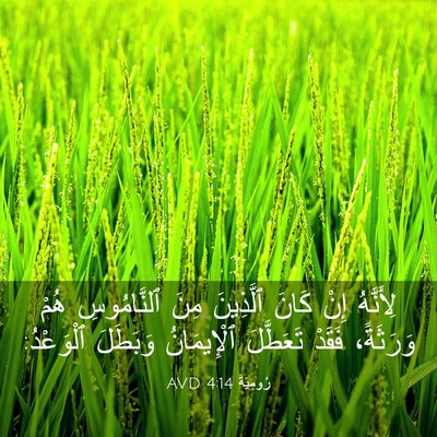 Picture 03 - رُومِيَةَ 4:14 AVD - لِأَنَّهُ إِنْ كَانَ - Bible Verse Picture
