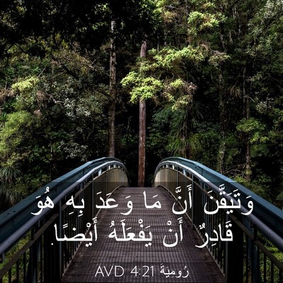 Picture 03 - رُومِيَةَ 4:21 AVD - وَتَيَقَّنَ أَنَّ مَا - Bible Verse Picture