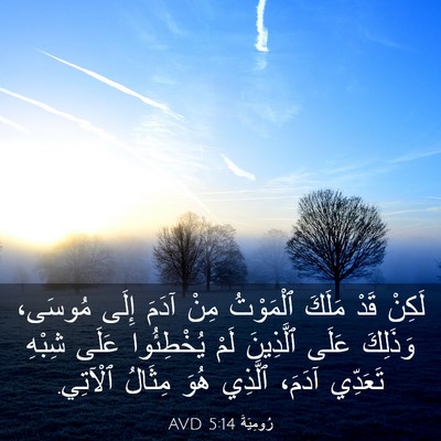 Picture 03 - رُومِيَةَ 5:14 AVD - لَكِنْ قَدْ مَلَكَ - Bible Verse Picture