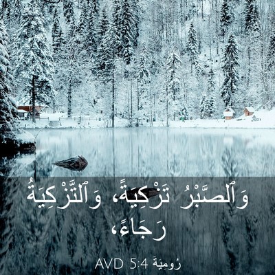 Picture 03 - رُومِيَةَ 5:4 AVD - وَٱلصَّبْرُ تَزْكِيَةً، - Bible Verse Picture