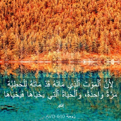 Picture 03 - رُومِيَةَ 6:10 AVD - لِأَنَّ ٱلْمَوْتَ ٱلَّذِي - Bible Verse Picture