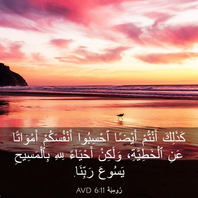 Picture 03 - رُومِيَةَ 6:11 AVD - كَذَلِكَ أَنْتُمْ أَيْضًا - Bible Verse Picture