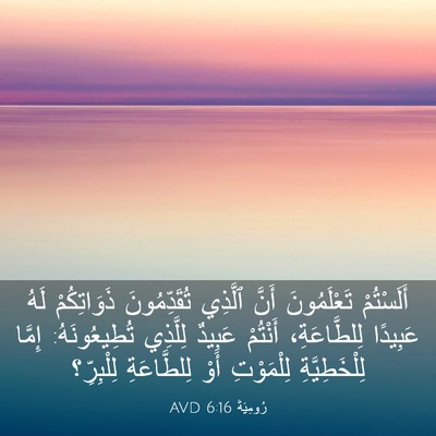 Picture 03 - رُومِيَةَ 6:16 AVD - أَلَسْتُمْ تَعْلَمُونَ - Bible Verse Picture