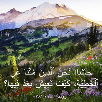 Picture 03 - رُومِيَةَ 6:2 AVD - حَاشَا! نَحْنُ ٱلَّذِينَ - Bible Verse Picture