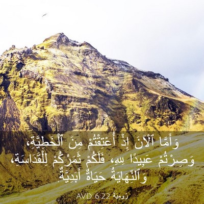Picture 03 - رُومِيَةَ 6:22 AVD - وَأَمَّا ٱلْآنَ إِذْ - Bible Verse Picture