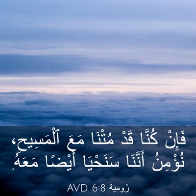 Picture 03 - رُومِيَةَ 6:8 AVD - فَإِنْ كُنَّا قَدْ مُتْنَا - Bible Verse Picture