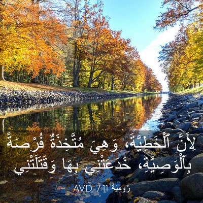 Picture 03 - رُومِيَةَ 7:11 AVD - لِأَنَّ ٱلْخَطِيَّةَ، - Bible Verse Picture