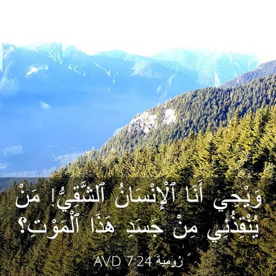 Picture 03 - رُومِيَةَ 7:24 AVD - وَيْحِي أَنَا - Bible Verse Picture