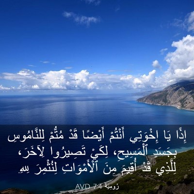 Picture 03 - رُومِيَةَ 7:4 AVD - إِذًا يَا إِخْوَتِي - Bible Verse Picture