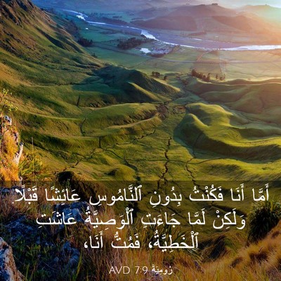 Picture 03 - رُومِيَةَ 7:9 AVD - أَمَّا أَنَا فَكُنْتُ - Bible Verse Picture