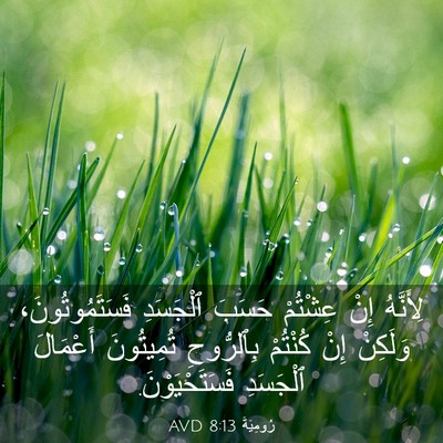 Picture 03 - رُومِيَةَ 8:13 AVD - لِأَنَّهُ إِنْ عِشْتُمْ - Bible Verse Picture