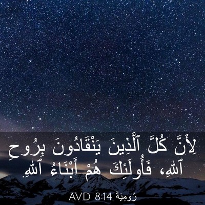 Picture 03 - رُومِيَةَ 8:14 AVD - لِأَنَّ كُلَّ ٱلَّذِينَ - Bible Verse Picture