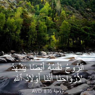 Picture 03 - رُومِيَةَ 8:16 AVD - اَلرُّوحُ نَفْسُهُ - Bible Verse Picture