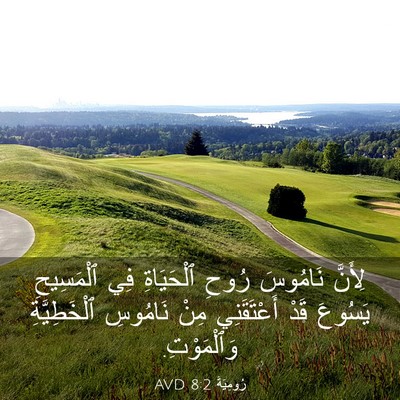 Picture 03 - رُومِيَةَ 8:2 AVD - لِأَنَّ نَامُوسَ رُوحِ - Bible Verse Picture