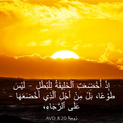 Picture 03 - رُومِيَةَ 8:20 AVD - إِذْ أُخْضِعَتِ - Bible Verse Picture