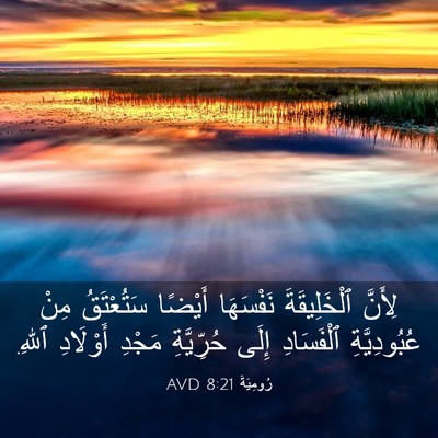 Picture 03 - رُومِيَةَ 8:21 AVD - لِأَنَّ ٱلْخَلِيقَةَ - Bible Verse Picture