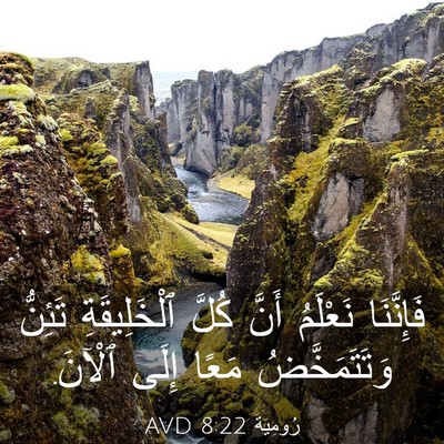 Picture 03 - رُومِيَةَ 8:22 AVD - فَإِنَّنَا نَعْلَمُ أَنَّ - Bible Verse Picture