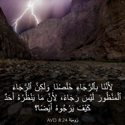 Picture 03 - رُومِيَةَ 8:24 AVD - لِأَنَّنَا بِٱلرَّجَاءِ - Bible Verse Picture