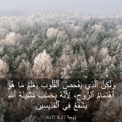 Picture 03 - رُومِيَةَ 8:27 AVD - وَلَكِنَّ ٱلَّذِي - Bible Verse Picture