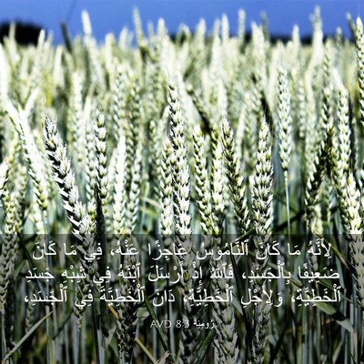 Picture 03 - رُومِيَةَ 8:3 AVD - لِأَنَّهُ مَا كَانَ - Bible Verse Picture