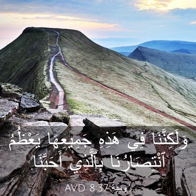 Picture 03 - رُومِيَةَ 8:37 AVD - وَلَكِنَّنَا فِي هَذِهِ - Bible Verse Picture