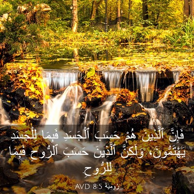 Picture 03 - رُومِيَةَ 8:5 AVD - فَإِنَّ ٱلَّذِينَ هُمْ - Bible Verse Picture
