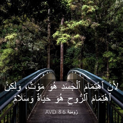 Picture 03 - رُومِيَةَ 8:6 AVD - لِأَنَّ ٱهْتِمَامَ - Bible Verse Picture