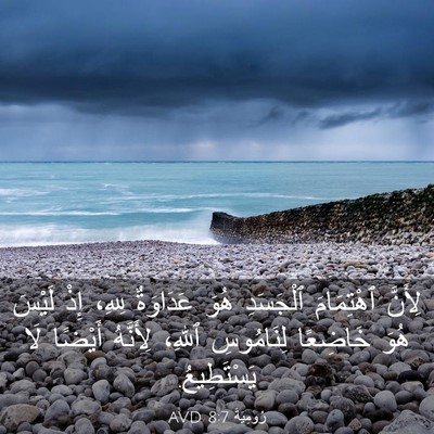 Picture 03 - رُومِيَةَ 8:7 AVD - لِأَنَّ ٱهْتِمَامَ - Bible Verse Picture