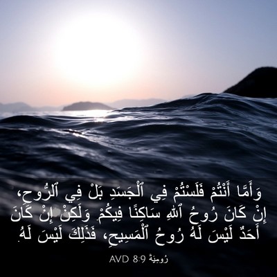 Picture 03 - رُومِيَةَ 8:9 AVD - وَأَمَّا أَنْتُمْ - Bible Verse Picture