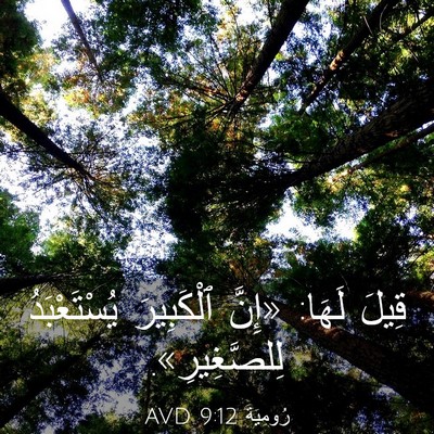 Picture 03 - رُومِيَةَ 9:12 AVD - قِيلَ لَهَا: «إِنَّ - Bible Verse Picture