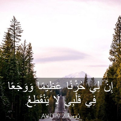 Picture 03 - رُومِيَةَ 9:2 AVD - إِنَّ لِي حُزْنًا عَظِيمًا - Bible Verse Picture