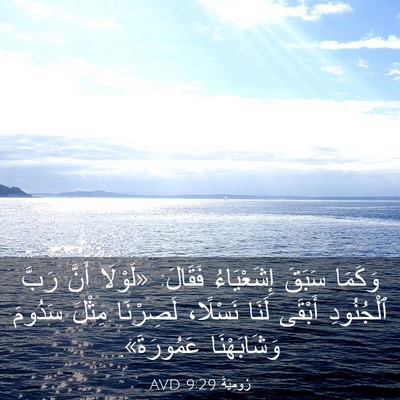 Picture 03 - رُومِيَةَ 9:29 AVD - وَكَمَا سَبَقَ - Bible Verse Picture