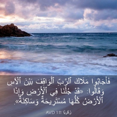 Picture 03 - زَكَريَّا 1:11 AVD - فَأَجَابُوا مَلَاكَ - Bible Verse Picture