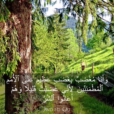 Picture 03 - زَكَريَّا 1:15 AVD - وَأَنَا مُغْضِبٌ بِغَضَبٍ - Bible Verse Picture