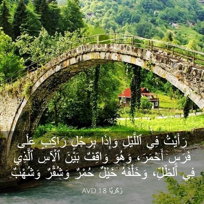 Picture 03 - زَكَريَّا 1:8 AVD - رَأَيْتُ فِي ٱللَّيْلِ - Bible Verse Picture